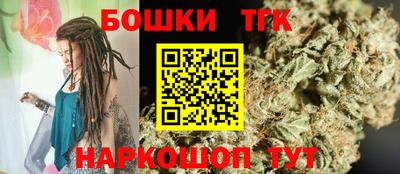 индика Ливны